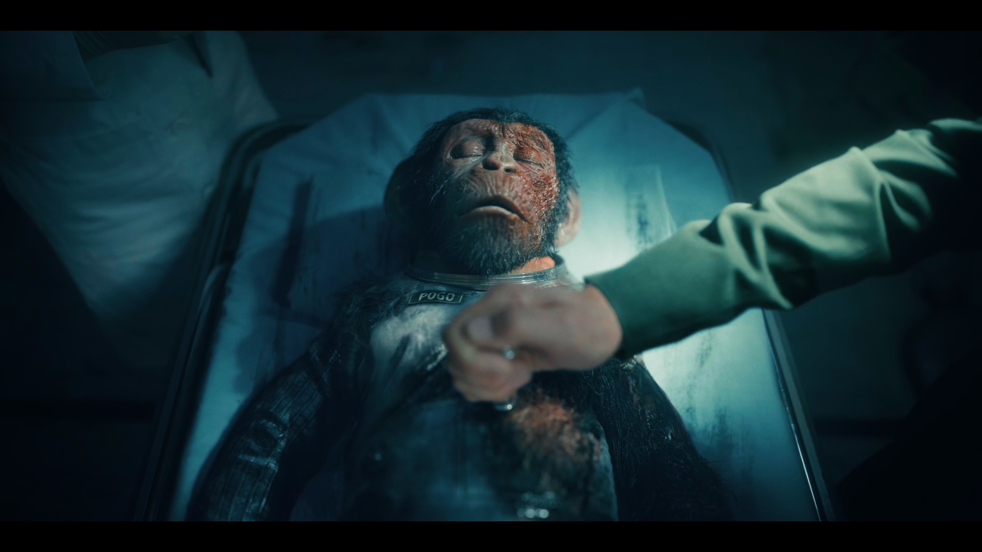 Still 2025 11 01 162004 1.9.1